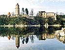 Zvíkov