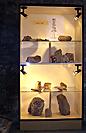 Louny, Muzeum Zkamenělý les