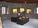 Louny, Muzeum Zkamenělý les