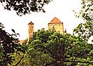Veveří