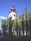 Žatec, tradiční chmelnice u radnice