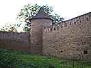 Kestřany