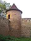 Kestřany